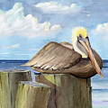 Pelican Perch