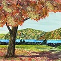 Quabbin Colors